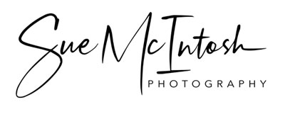 sample image created by Susan McIntosh